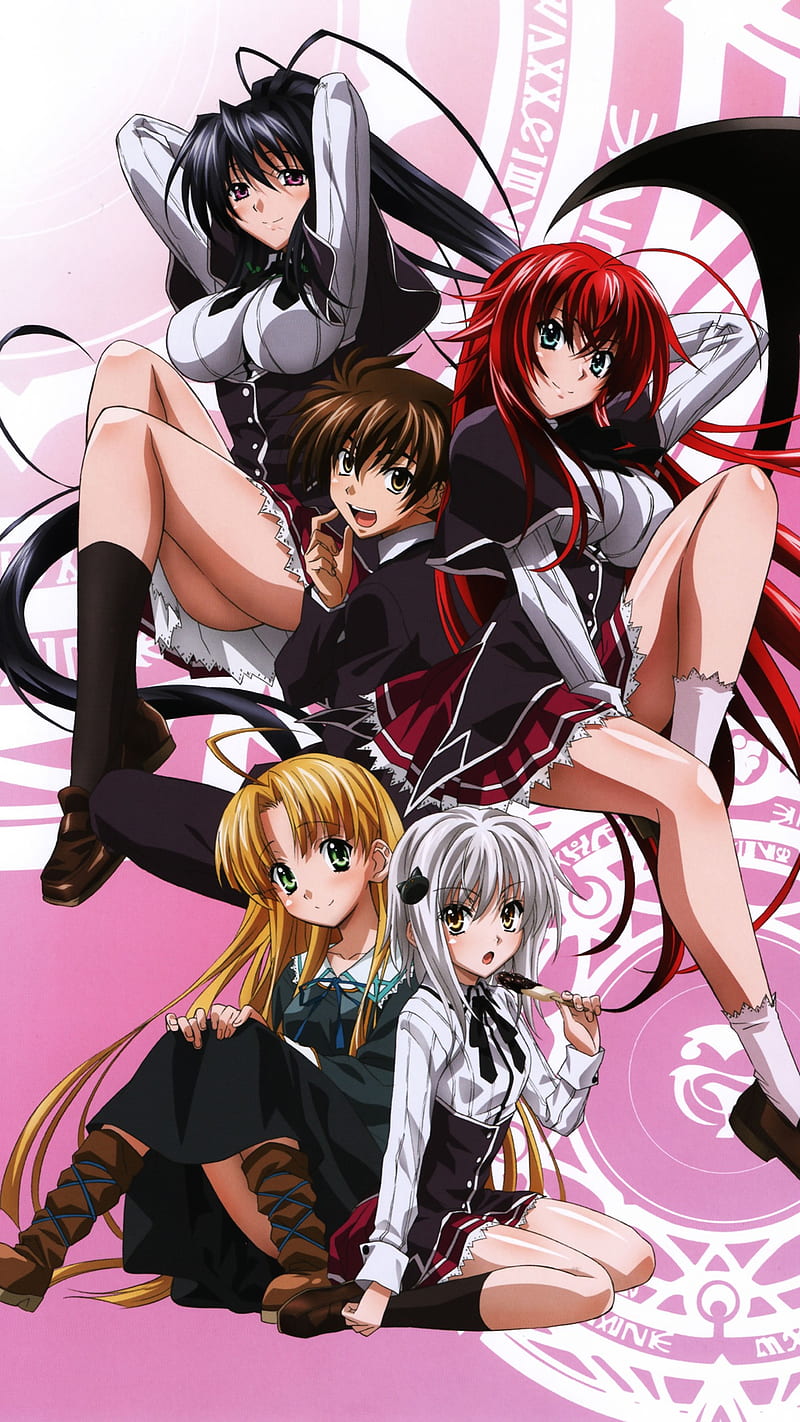 High School DxD, Gremory Rias, Toujou Koneko, Himejima Akeno, Argento Asia, Hyoudou Issei, HD phone wallpaper