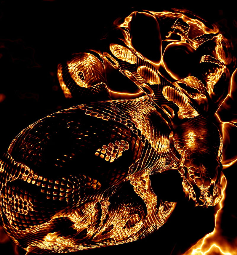 Ball Python on Fire, snake, snakes, ball, python, art, graphy, animal, reptile, ballpython, HD phone wallpaper