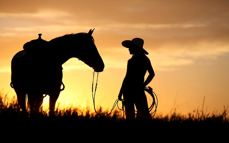 Sunset, cal, girl, cowgirl, orange, black, woman, silhouette, horse, hat, HD wallpaper