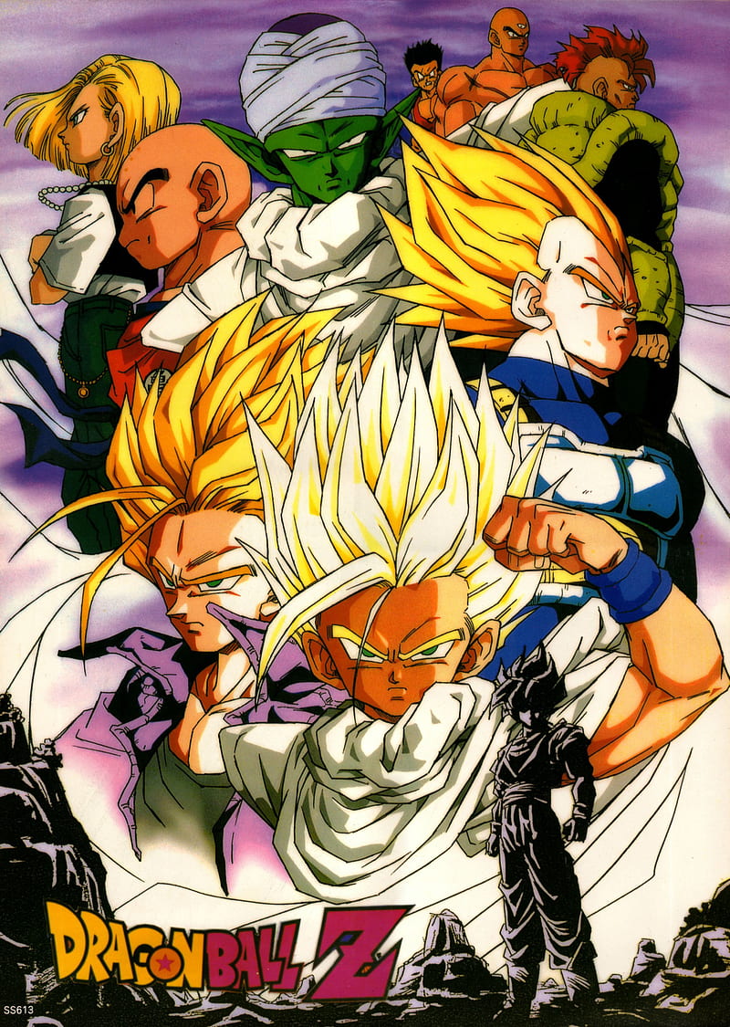 Android 13 (Dragon Ball) HD Wallpapers and Backgrounds