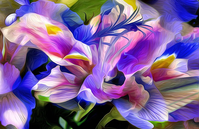 Irises F2Cmp, art, romance, bonito, artwork, floral, love, painting, wide screen, flower, beauty, iris, HD wallpaper
