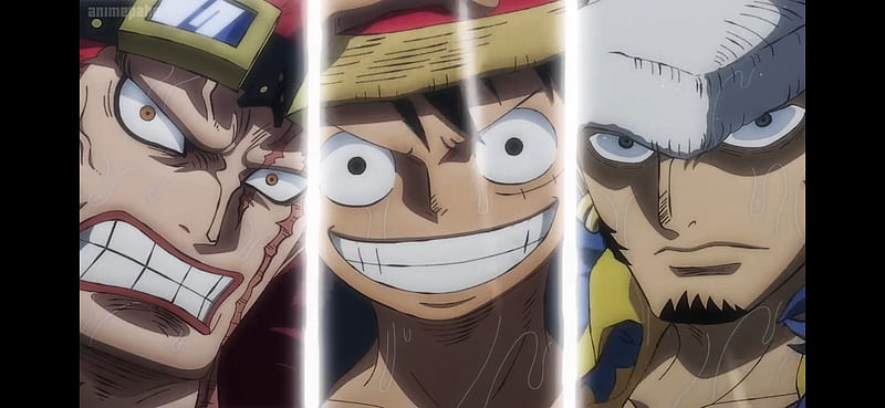 One Piece, Eustass Kid, Monkey D. Luffy, Trafalgar Law, HD