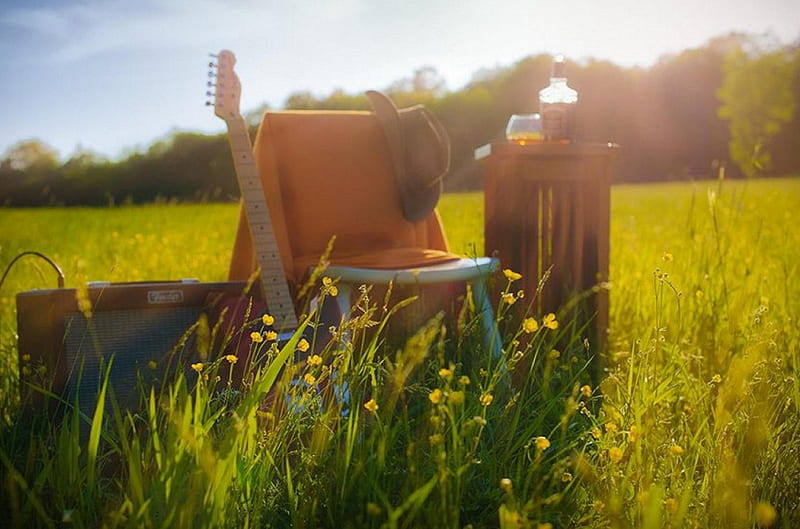 Out Playing The Field, out, sunny day, grass, enjoyment, picnic, guitar, summer, nature, meadow, HD wallpaper