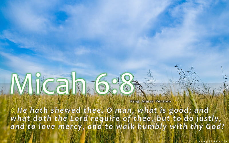 Micah 6:8, Bible Verse backgrounds, bible quotes, bible verse , bible verse with a background, HD wallpaper