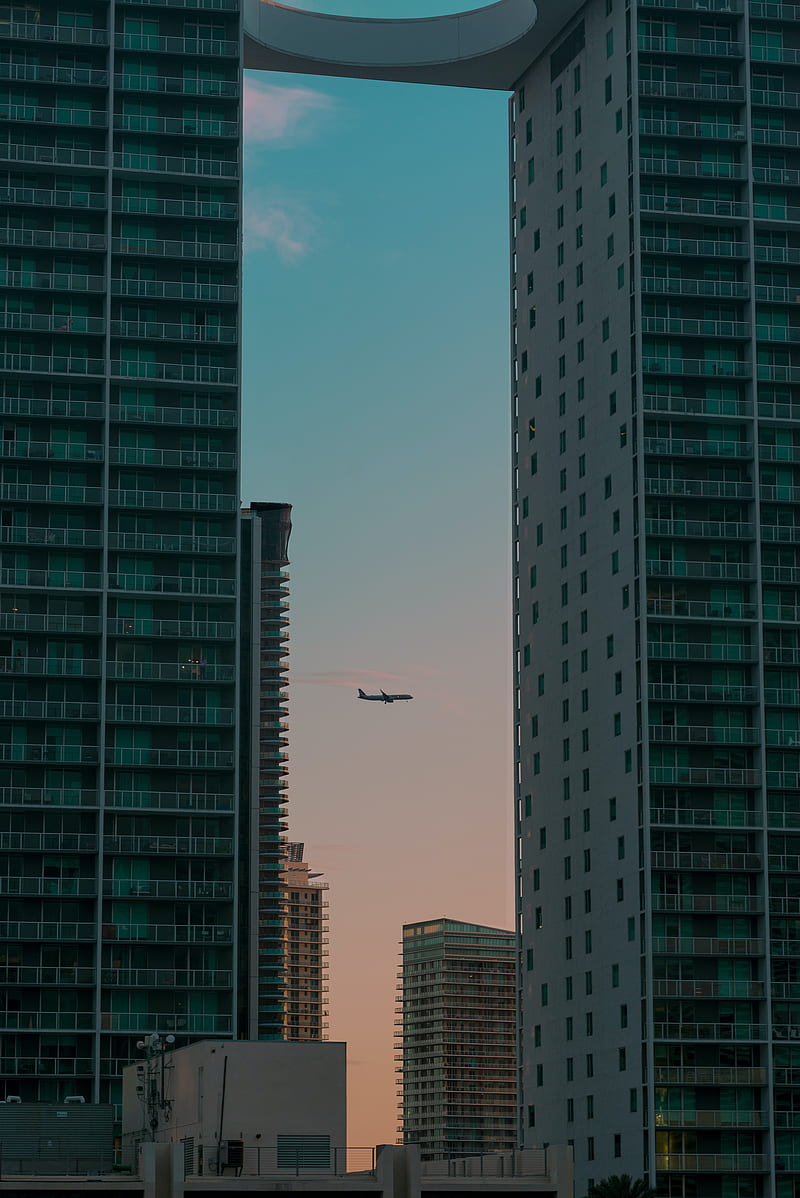 airplane, buildings, skyscrapers, evening, HD phone wallpaper