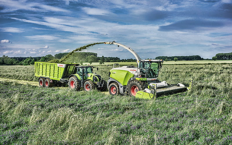 Claas Jaguar 950 Forage Harvester, 2019 combines​, agricultural machinery, R, combine harvester, Combine​ in the field, agriculture, Claas, HD wallpaper