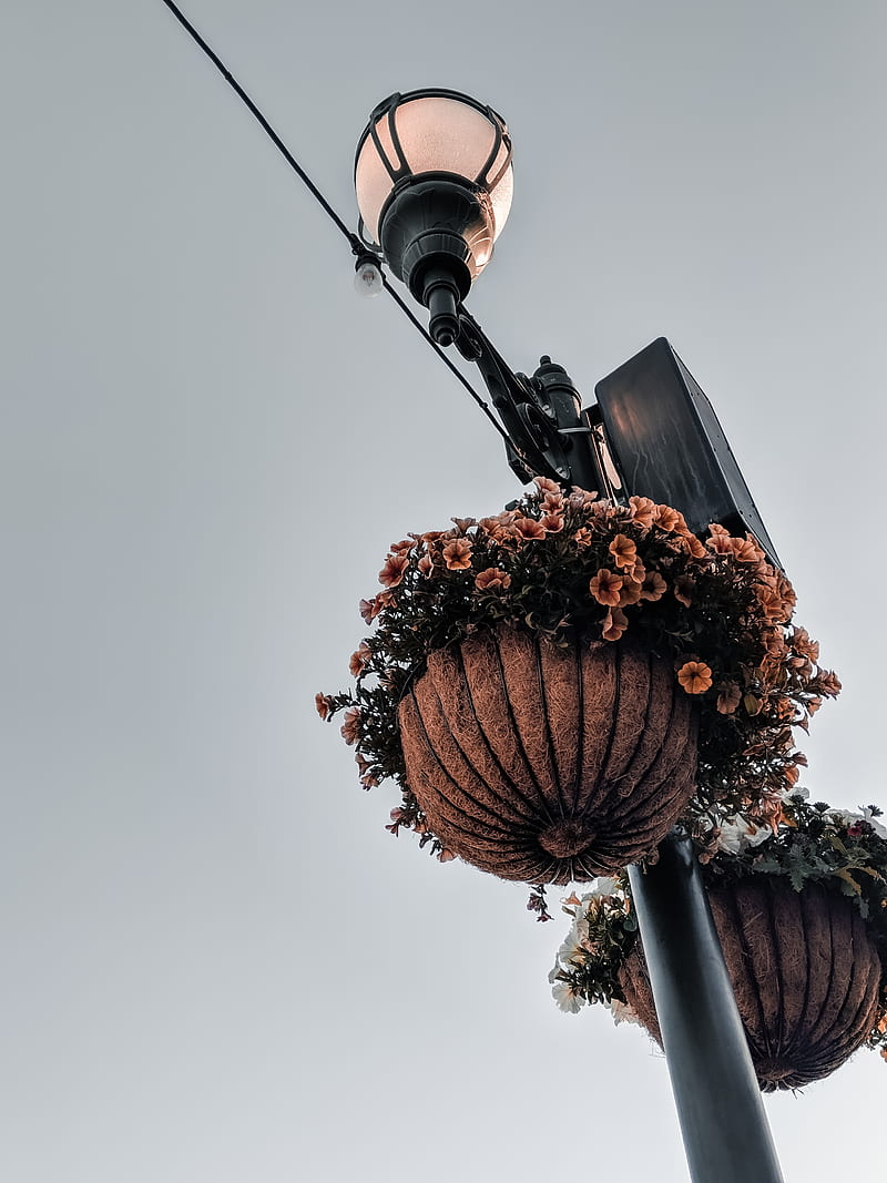 lamppost, flowers, lantern, pots, decoration, HD phone wallpaper
