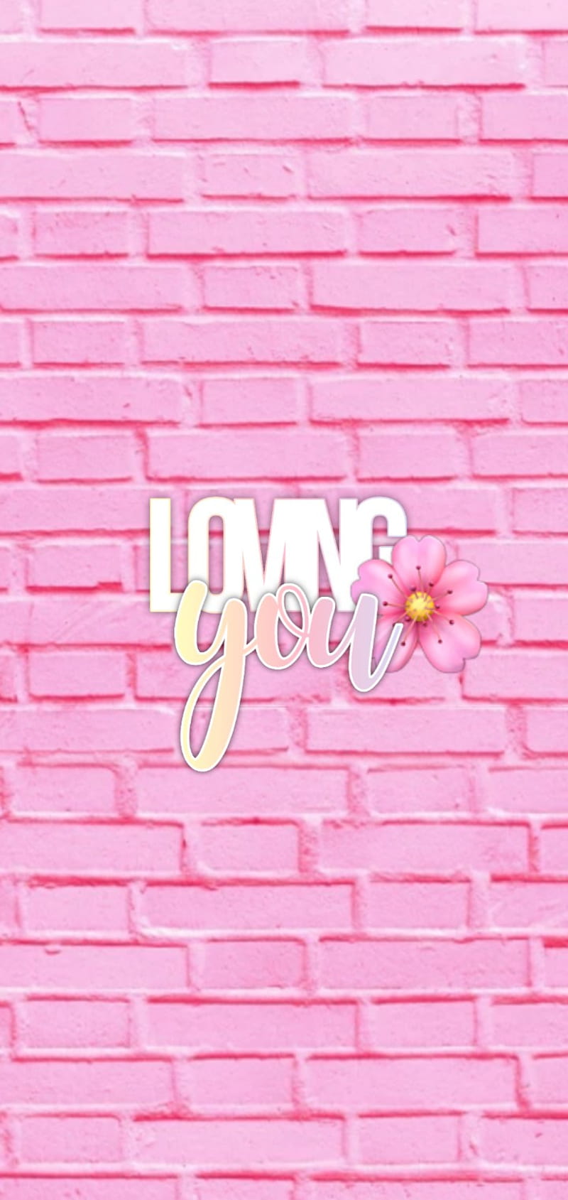 Loving you, fondo rosa, girl, girly, love, pink, pink, rose, tumblr, HD  phone wallpaper | Peakpx