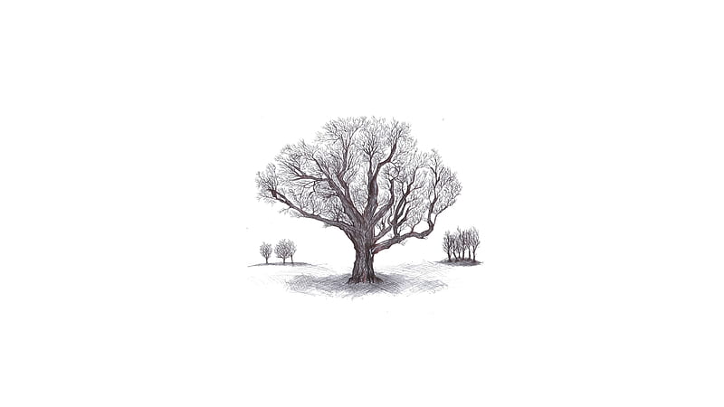 tree sketch, artwork, drawing, HD wallpaper