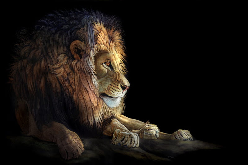 Lion king, king, art, 3d, lion, animal, HD wallpaper | Peakpx