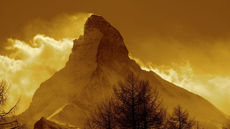 the matterhorn in gold, mountain, tree, gold, clouds, HD wallpaper