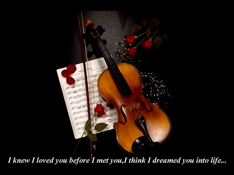I Knew I Loved You..., jacqelinela, with love, pretty, rose, jacqeline, roses petals, bonito, red rose, poem, quote, love, musical notes, for you, valentines day, violin, lovely, romantic, romance, black, roses, rose petals, dark, nature, petals, HD wallpaper