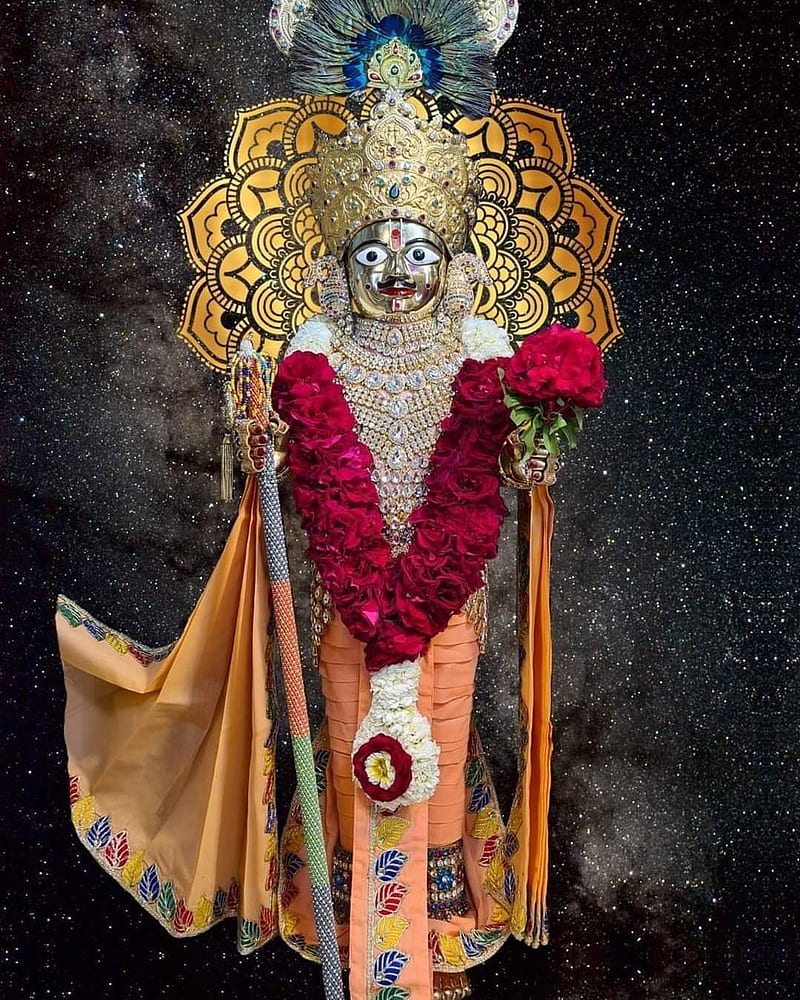 Hari Krishna maharaj, harikrishnaji, vadtal, HD phone wallpaper