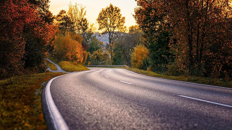 Closeup View Of Highway Road Between Red Yellow Autumn Trees Forest Bushes  Green Plants Scenery, HD wallpaper | Peakpx