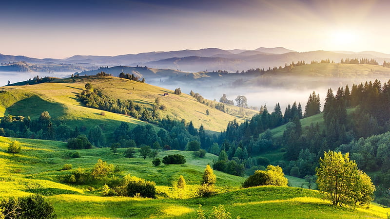 Green landscape, Mountains, Trees, Green, Grass, Fog, Hills, Gradients, Mist, HD wallpaper