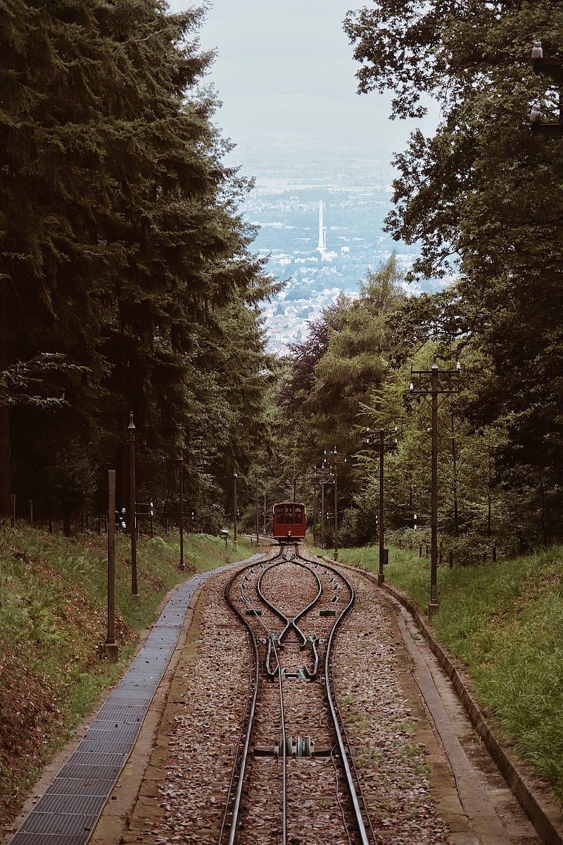 railroad, rails, train, trees, nature, HD phone wallpaper