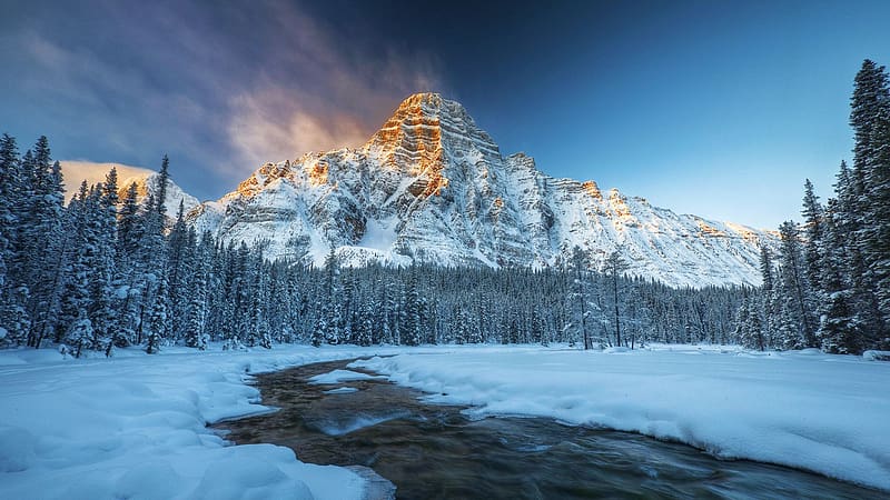 Mount Chephren, Banff NP, Alberta, snow, trees, canada, mountain, ice, lake, HD wallpaper