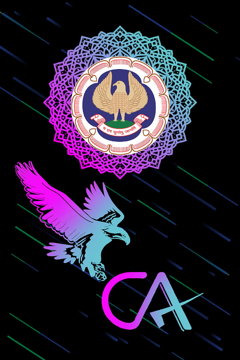 CA, INDIA, ICAI, Institute of Chartered accountants of India, CA, HD phone wallpaper