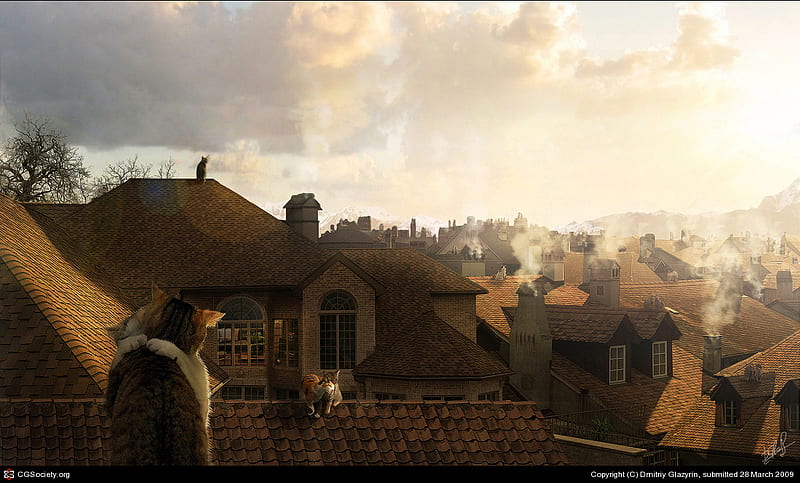 cats roofs, sunset, roof, cat, smoke, HD wallpaper