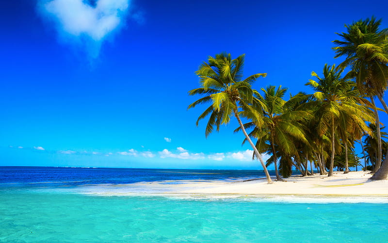 ocean, tropical island, blue lagoon, summer, palms, beach, blue sky, paradise, white sand, HD wallpaper