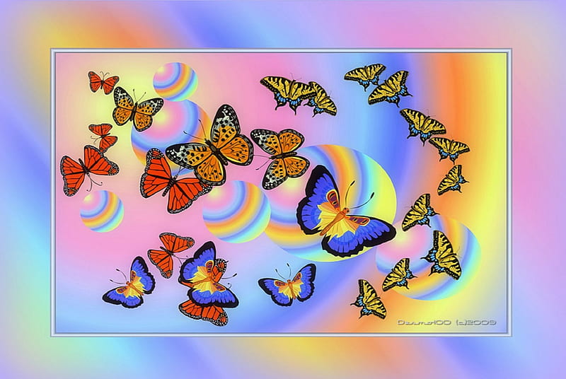✫JoyfuL BuTTerflies✫, joyful, lovely, colors, love four seasons, bonito, butterflies, softness beauty, rainbow, creative pre-made, digital art, cute, cool, flying, butterfly designs, vector arts, animals, HD wallpaper