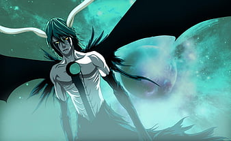 Vasto Lorde Ichigo - Bleach & Anime Background Wallpapers on Desktop Nexus  (Image 1205413)
