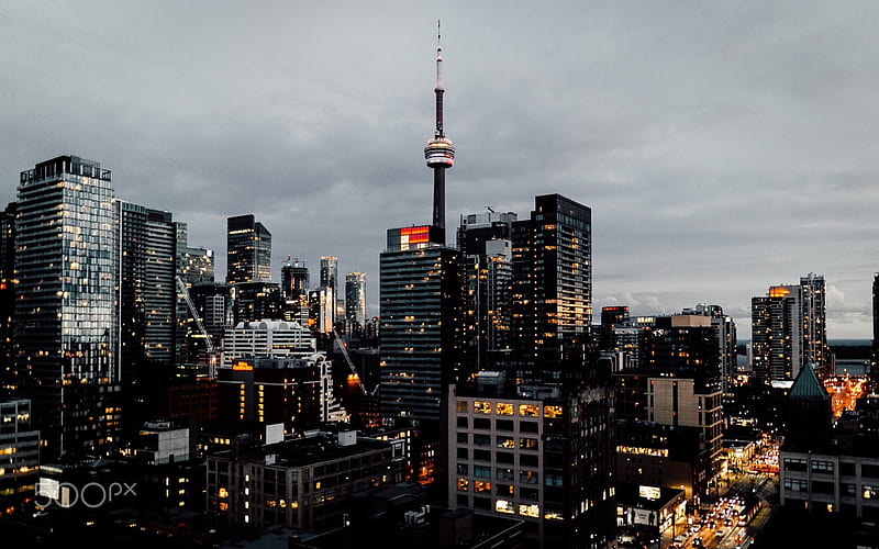 100 Toronto Pictures Stunning  Download Free Images on Unsplash
