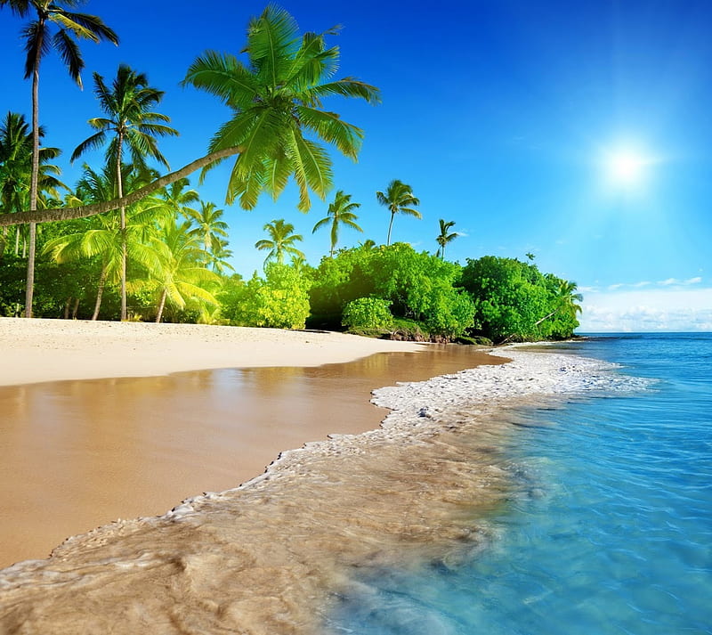 beach, holidays, ocean, palm, sea, HD wallpaper