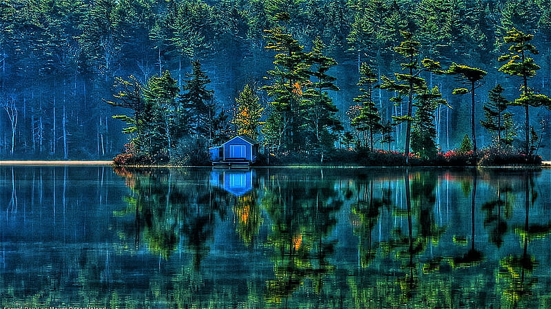 Glass Lake, shimmer, sheen, shine, bonito, dream scene, trees, HD wallpaper  | Peakpx