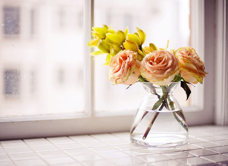 Ramo de la mañana, buenos días, ventana, florero, rosas, feliz día, agua,  hermosa mañana, Fondo de pantalla HD | Peakpx