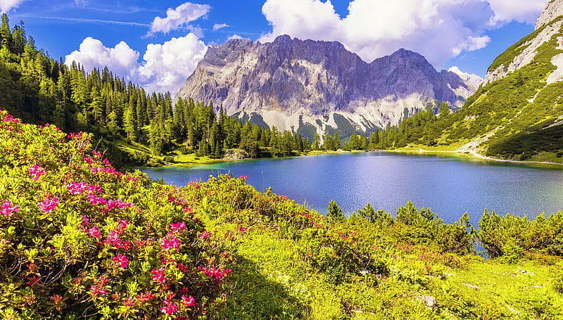 Beautiful Alps, greenery, summer, spring, Switzerland, lake, grass, view, bonito, sky, mountain, wildflowers, HD wallpaper