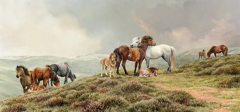 The Dartmoor Ponies, art, painting, bonnie marris, pictura, horse, HD wallpaper
