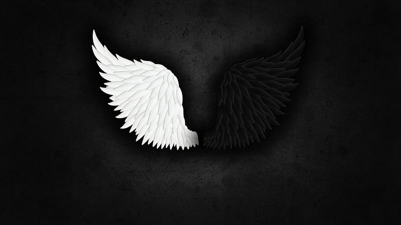 Light And Dark Angel Wing, Cool Dark Angel, HD wallpaper | Peakpx