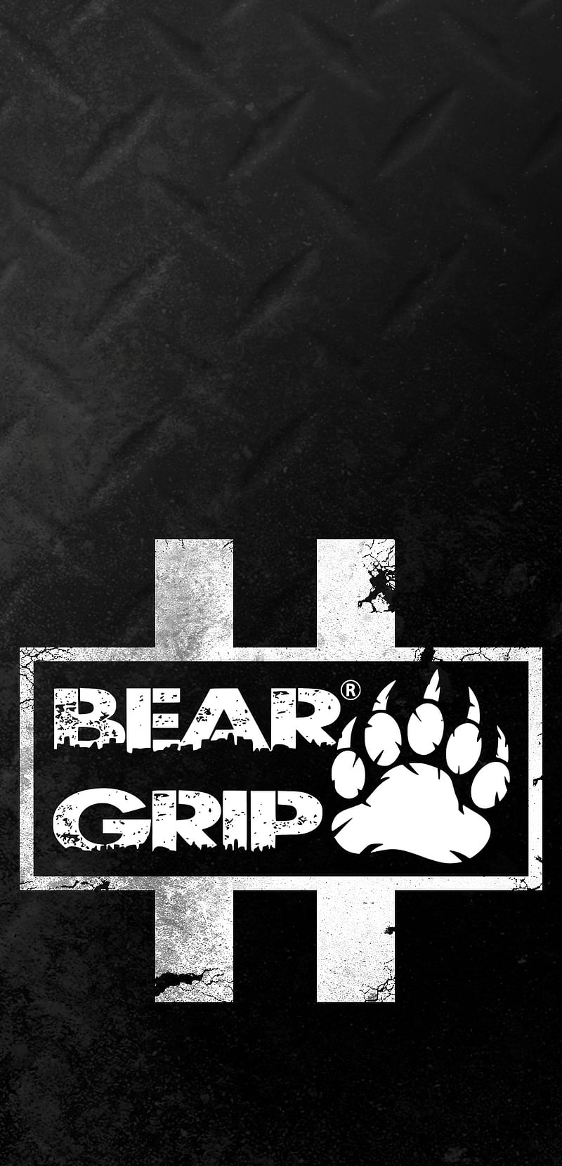 Bear Grip, brand, gym, lifting, rep, weight, HD phone wallpaper