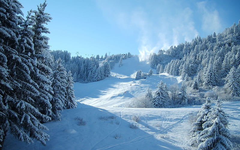 mountain slope, resort, descent, skiers, trees, winter, snow, people, slope, elevator, HD wallpaper