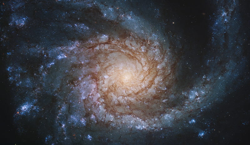ngc 4254, galaxy, spiral, stars, space, HD wallpaper
