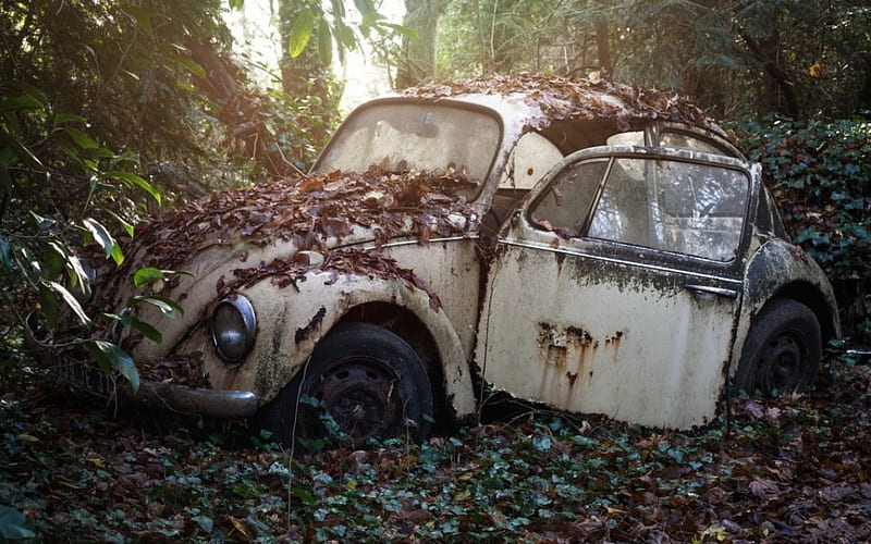 Volkswagen, scrap, Car, old, rust, HD wallpaper