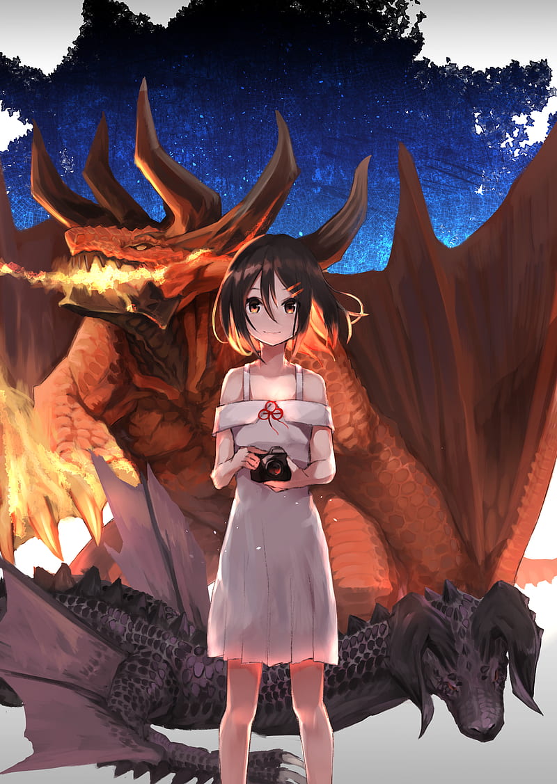 dress, dragon, anime girls, HD phone wallpaper