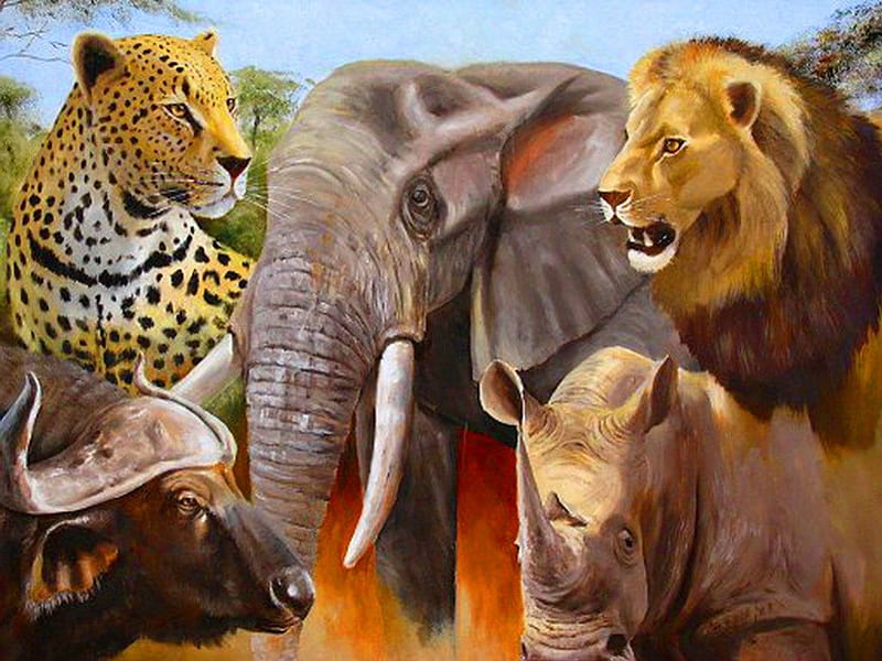 BIG Five, leopard, elephant, buffalo, rhino, lion, animals, africa, HD  wallpaper | Peakpx
