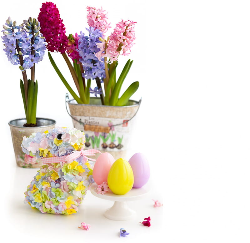 Easter decoration, hyacinths, colorful, holidays, floral, Easter, special days, eggs, flowers, bunny, HD wallpaper