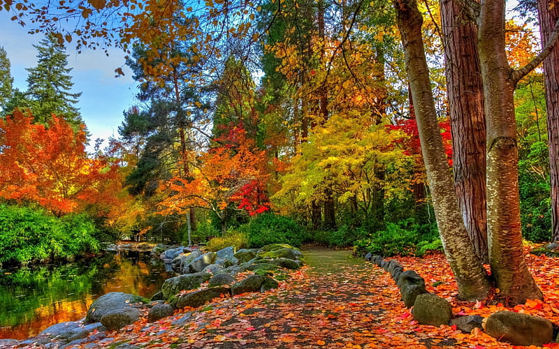Khung Cảnh Mùa Thu: Mùa thu được xem là một trong những mùa đẹp nhất trong năm với những thay đổi đầy màu sắc của thiên nhiên. Khám phá vẻ đẹp của mùa thu với những khung cảnh tuyệt đẹp qua những bức ảnh đẹp nhất về mùa này.