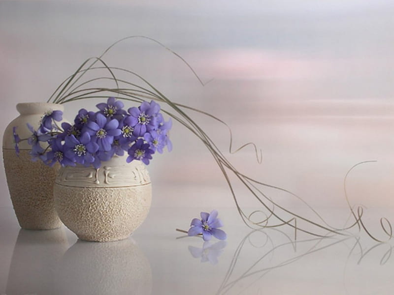 * Tenderness *, purple, tenderness, composition, flowers, vase, soft, petals, delicate, HD wallpaper