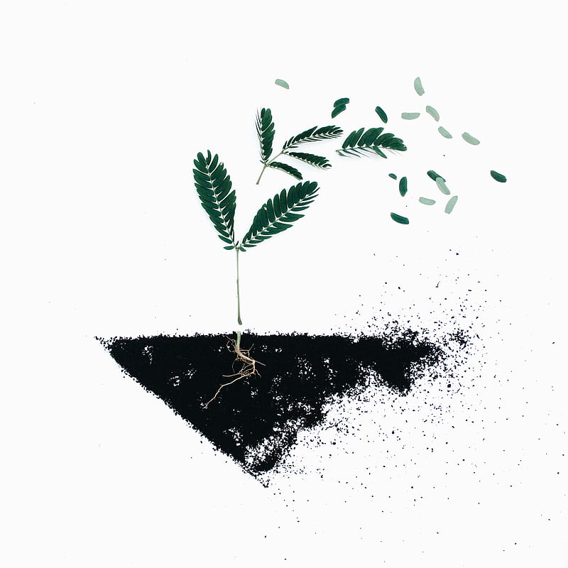green leaf plants on black soil illustration, HD phone wallpaper