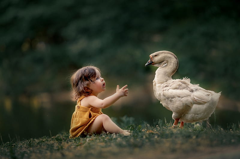 Little Girl, Bird, Child, Nature, Goose, HD wallpaper