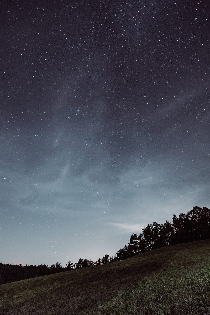 starry sky, field, grass, stars, horizon, HD phone wallpaper