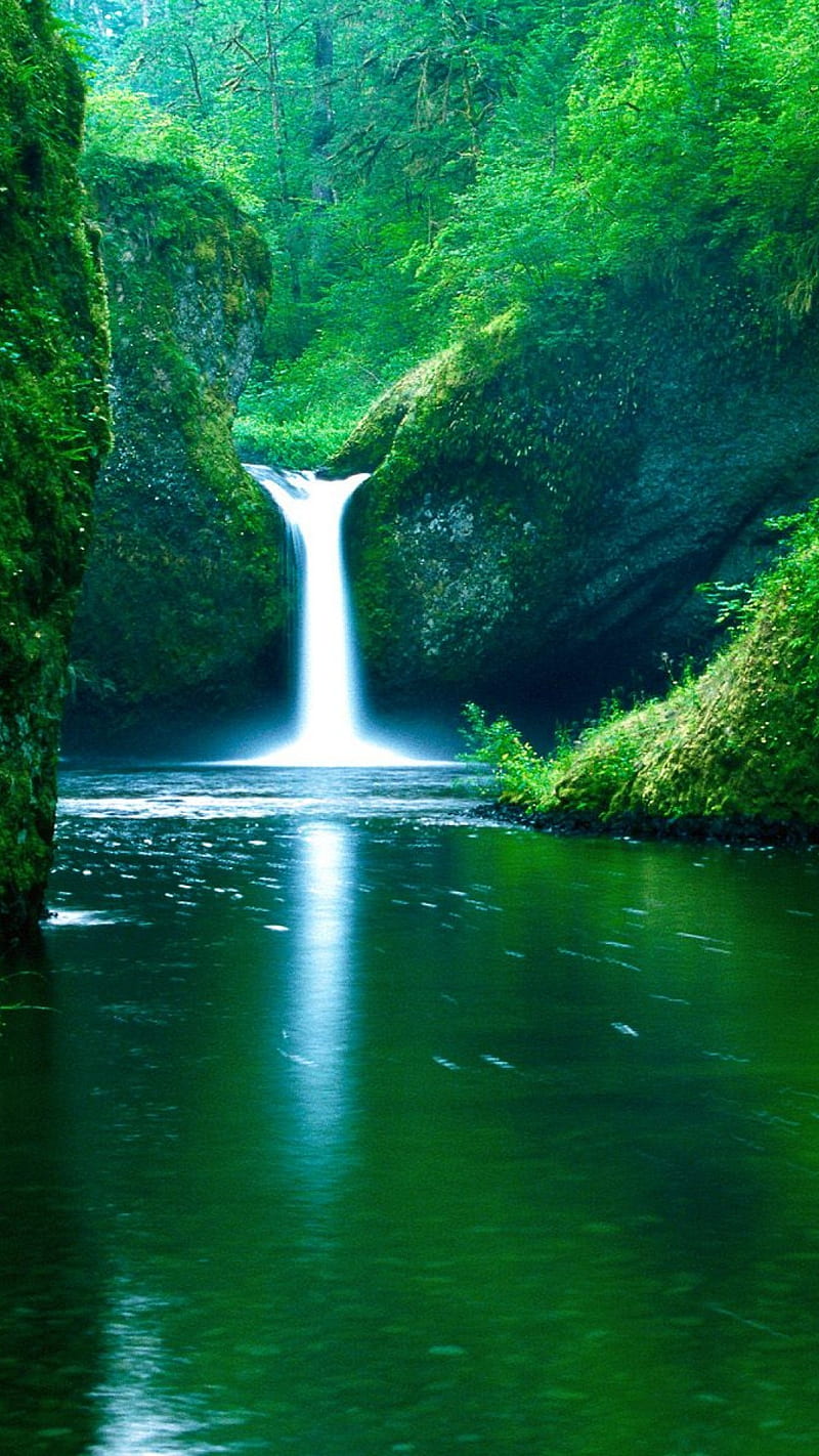 Waterfall, nature, beauty of nature, fresh, morning, positive, greenery, HD  phone wallpaper | Peakpx