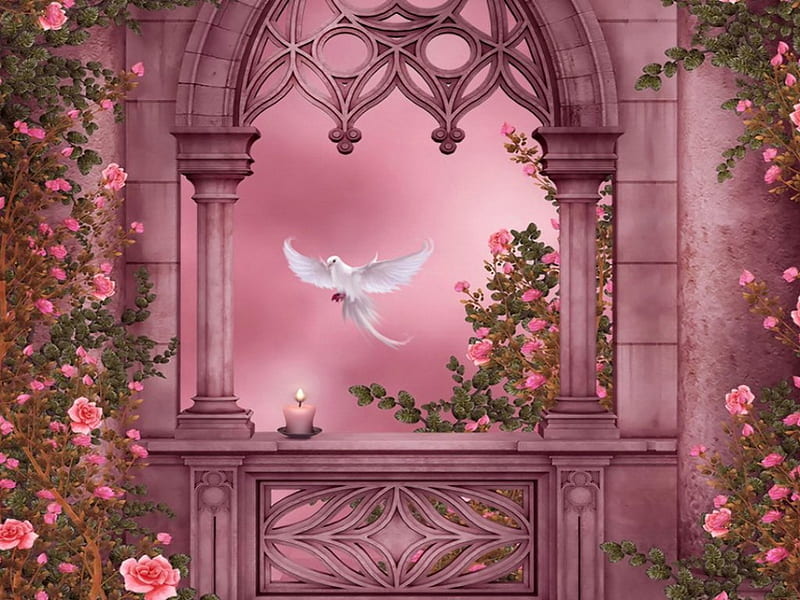 Heaven garden, wings, lovely, bonito, magic, roses, fantasy, arch, paradise, flying, heaven, dove, garden, pink, HD wallpaper