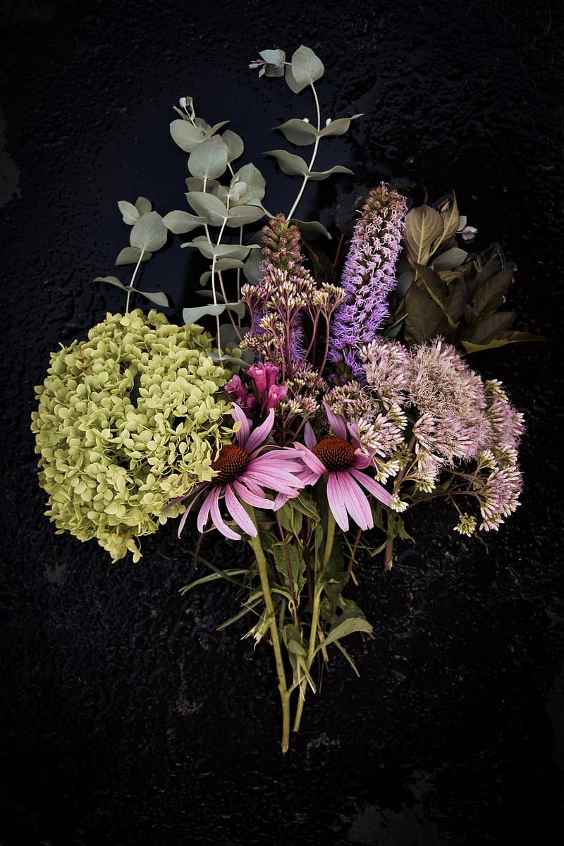 bouquet, hydrangea, eucalyptus, chamomile, flowers, HD phone wallpaper
