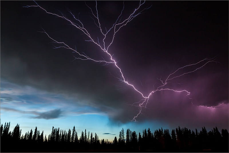 Summer Lightning, forest, bonito, sky, lightning, HD wallpaper | Peakpx