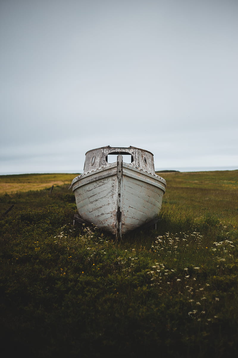 boat, ruins, old, grass, wooden, HD phone wallpaper